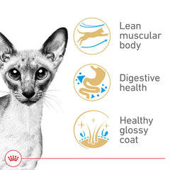Royal Canin Siamese: protéines digestibles pour soutenir une digestion équilibrée et confortable.