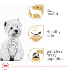 Royal Canin West Highland White Terrier Adulte — soutien peau et poil pour un pelage sain.