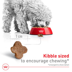 Royal Canin Taille Santé Nutrition Petit Chien 8+ croquettes riches en calcium et phosphore