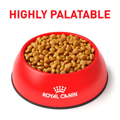 Sac de 8 kg ROYAL CANIN Urinaire SO, alimentation sèche pratique pour chien