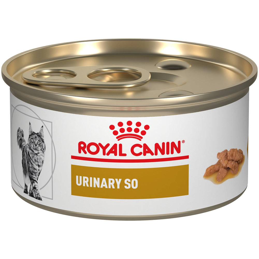 Boîtes 24 Royal Canin Urinary SO Morsels en sauce, présentation pratique pour l’alimentation humide.