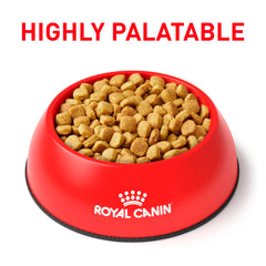 Royal Canin Régime Vétérinaire Hypoallergénique Mod Calorie, oméga-3 pour peau et pelage sains.