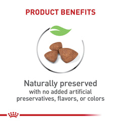 ROYAL CANIN XS PUPPY – assiette de croquettes pour chiots.