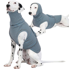 ROZKITCH chemise de compression pour chien bleu rayé, pour favoriser le calme lors des trajets