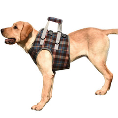 Harnais ROZKITCH elevation chien avant pour aider à marcher et monter les obstacles