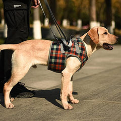 ROZKITCH harnais levage chien – poitrine, soutien et stabilité lors des pas.