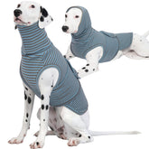 ROZKITCH manteau apaisant chien avec capuche offrant une chaleur rassurante.