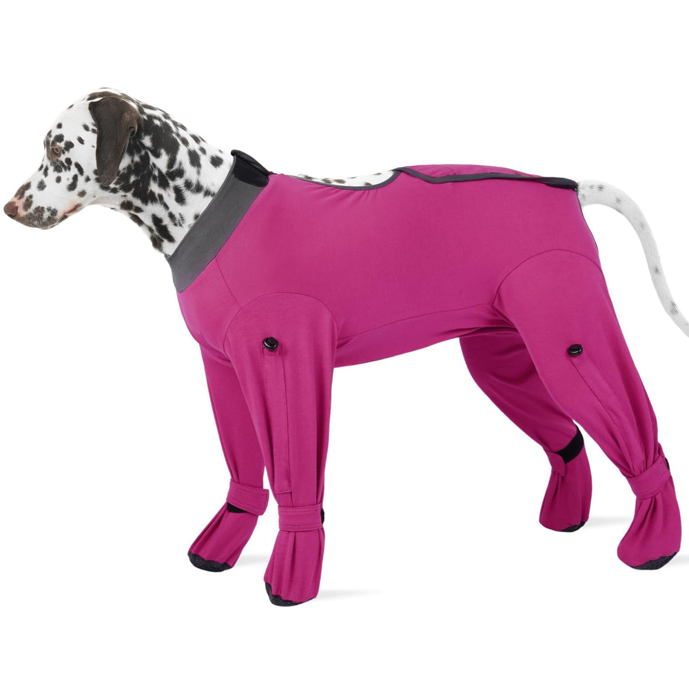 ROZKITCH veste récupération chien – protection du corps pour une récupération plus sereine.