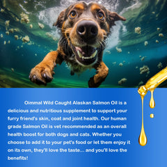 RTBYUE Omega3 huile de poisson — détail texture fine, pratique pour administration quotidienne.