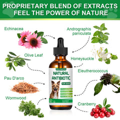 RUAKPL: absinthe, ingrédient naturel pour le bien‑être canin.
