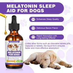 RUAKPL Mélatonine pour chiens - anxiété et séparation, saveur bacon pour ingestion facilitée.