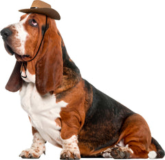 Chapeau Cowboy Rubies pour animaux sur chien et chat, prêt pour les fêtes.