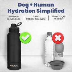 Rubyloo bol détachable 8oz, facilite le repas du chien