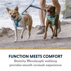 Ruffwear Double Track Coupler réglable pour ajuster les longueurs et accueillir deux chiens de tailles différentes.