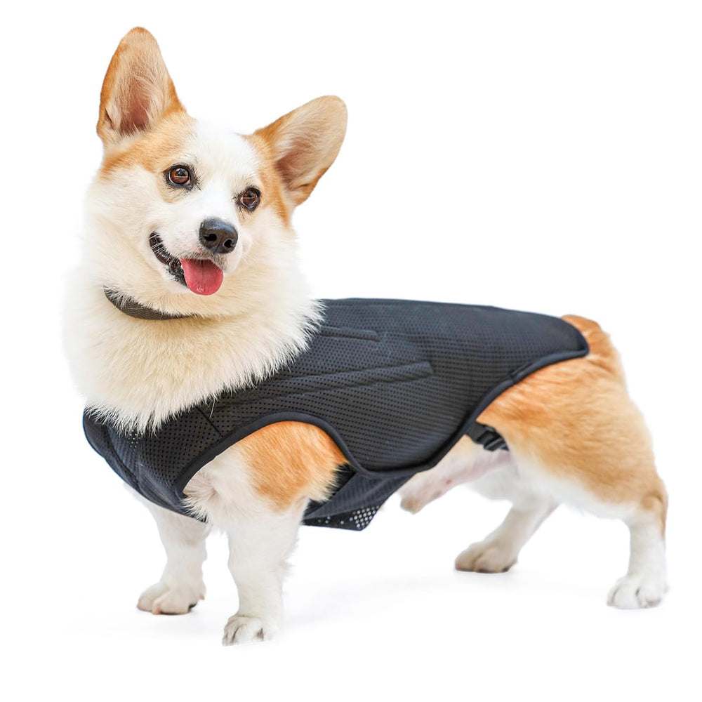 RUIFAR orthèse dos chien IVDD — vue avant, soutien dorsal stable pour plus de confort.