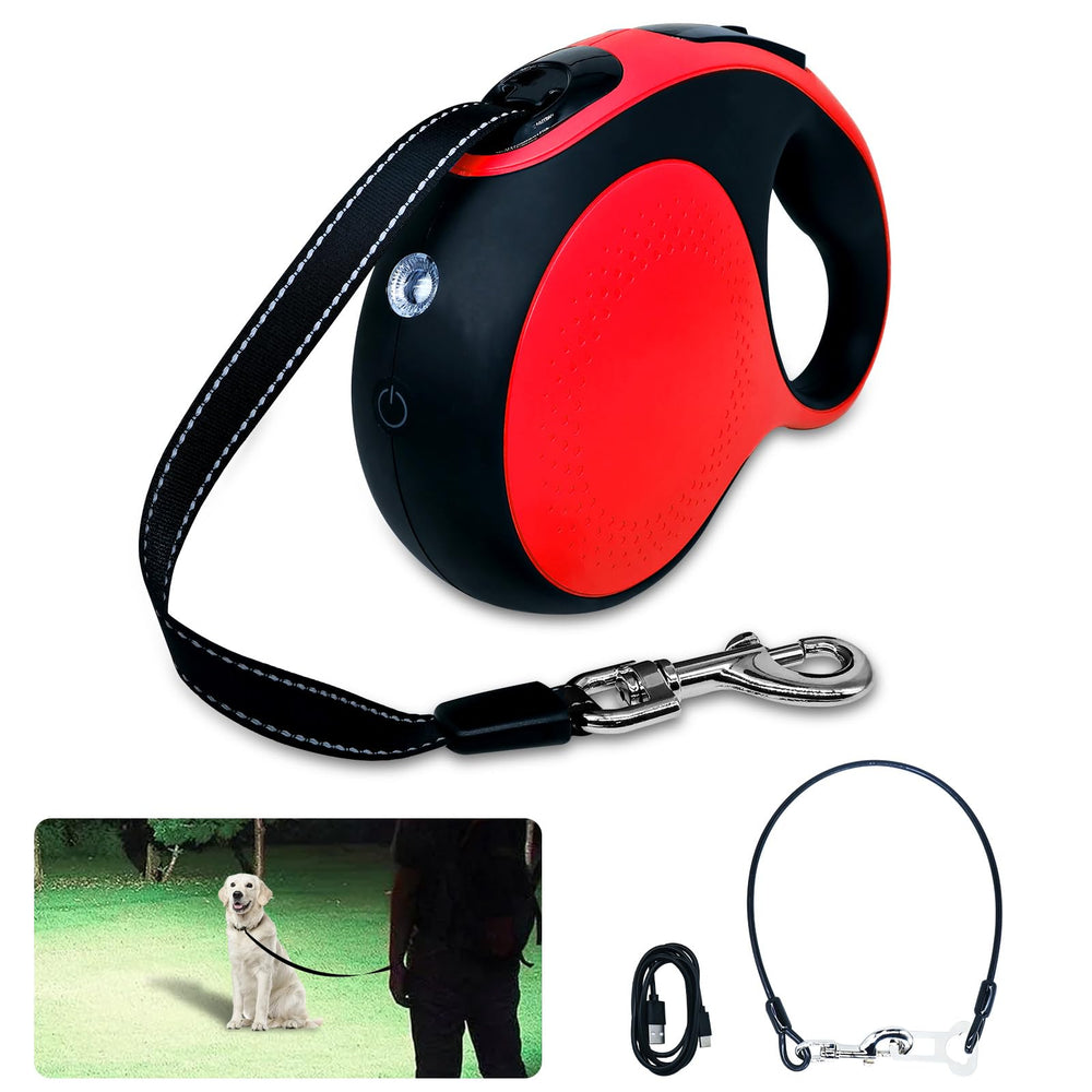 Laisse Ruiyang avec DEL rechargeable pour promenades nocturnes pratiques.