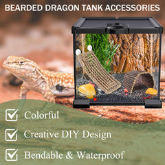 RUNANIA plante suspendue dragon barbu terrarium, ajoute verdure et cachettes naturelles.