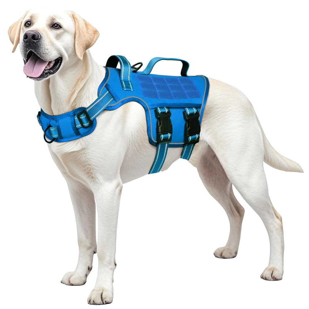 RunFido harnais chien grande taille, clip avant pour contrôle sans traction
