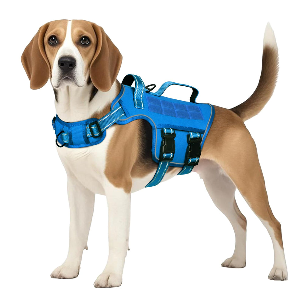 Harnais RunFido avec boucle rapide pour enfiler facilement le harnais