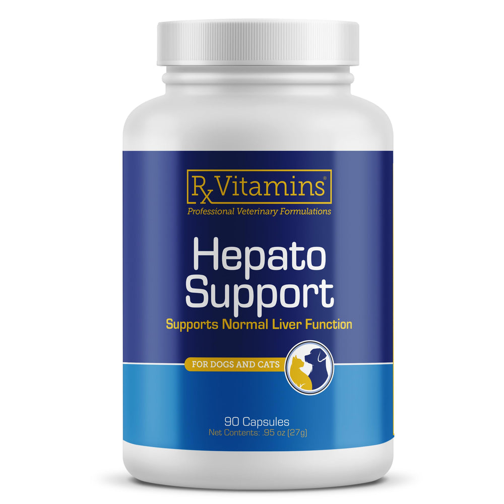 Rx Vitamins Hepato Support pour chat, bouteille de capsules, soutien hépatique pratique et simple.