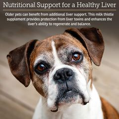 Rx Vitamins Hepato Support doseur intégré, administration facile pour les animaux.