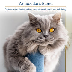 Rx Vitamins Onco Support intègre le varech, source naturelle de minéraux pour les animaux.