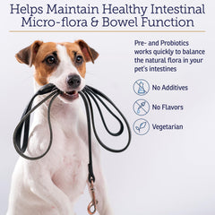Rx Vitamins Rx Biotic, topper-nourriture-chat-et-chien, ajout discret au repas.