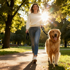 RyanDesign Harnais sécurité chien rotation 360 pour éviter les enchevêtrements.