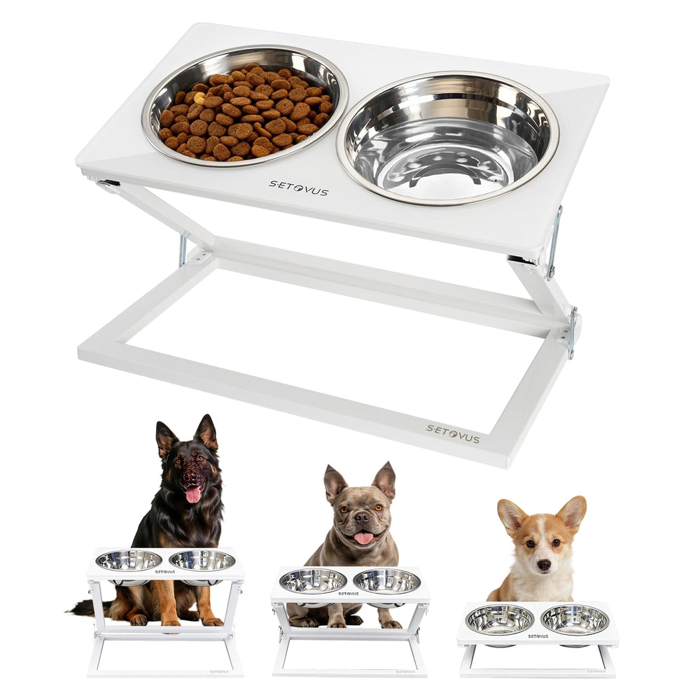 S-ETOVUS gamelles elevées reglable pour chien, repas ergonomique.