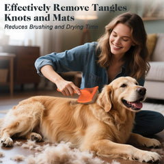 Saccison brosse slicker avec pointes longues démêle en profondeur.