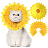 Sadnyy collier recuperation tournesol pour chat, doux et léger pour les soins.