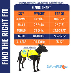 SafetyPUP XD gilet réfléchissant chien nuit, visibilité accrue lors des promenades nocturnes.