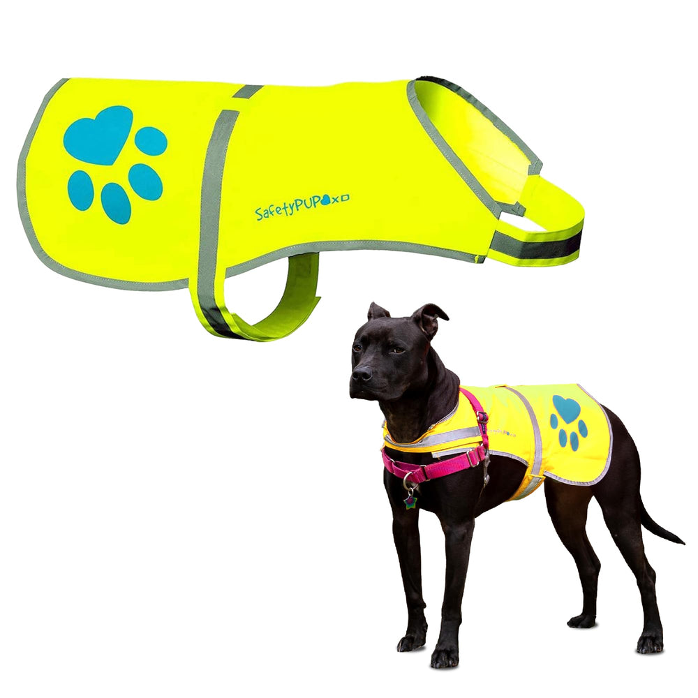 SafetyPUP XD gilet réfléchissant pour chien, visibilité urbaine et rurale jour et nuit.