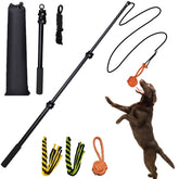 SailStart Flirt Pole pour chiens, pôle 40 pouces pour sessions extérieures dynamiques