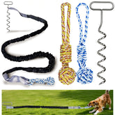 Jouet de tir élastique SailStart pour chien sur pelouse, stimulation et énergie.