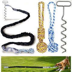 Jouet de tir élastique SailStart pour chien sur pelouse, stimulation et énergie.