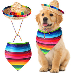 Le chapeau sombrero Saintrygo pour chien, parfait pour les fêtes et les photos.