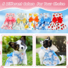Robe Saintrygo pour chien ipomée rose, style élégant et léger.