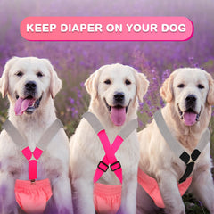 Saintrygo suspendeurs pour chien noir – maintien fiable pour couches.