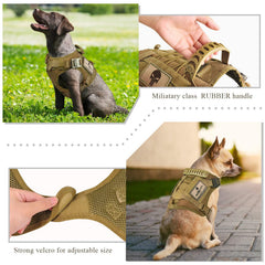 SALFSE gilet tactique démontrant le système MOLLE pour accessoires extérieurs