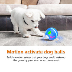 Salodal balle avec modes roulage et interaction pour chien.