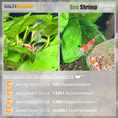 SALTYSHRIMP Bee Shrimp Mineral GH+ eau remineralisee prête à l'emploi.