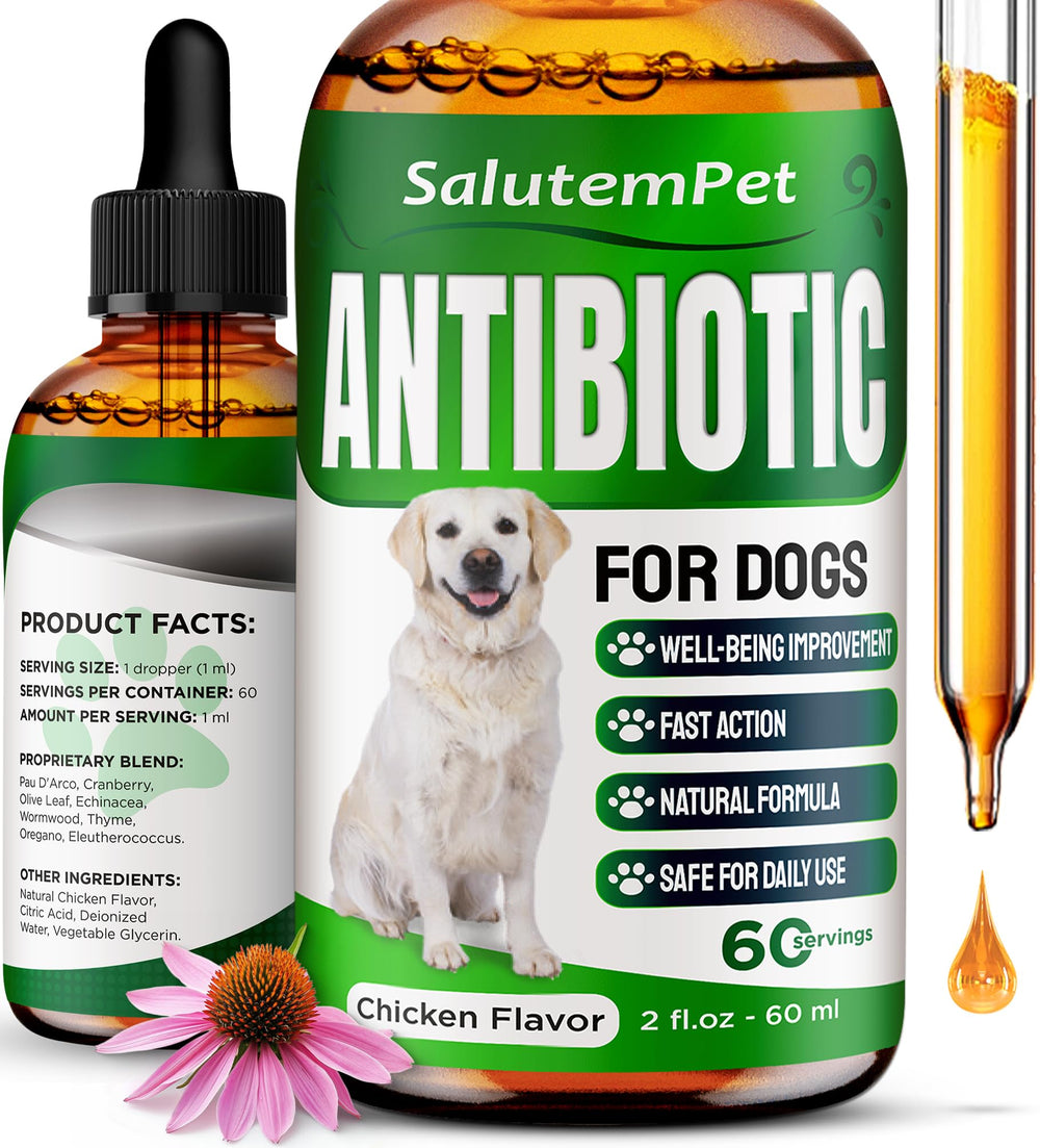 SalutemPet antibiotiques chien – flacon gouttes, administration facile pour infections et démangeaisons.