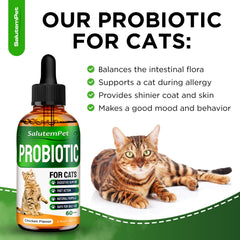 SalutemPet Probiotiques pour chats – gouttes faciles à doser, intégration alimentaire.