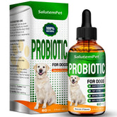 Probiotiques SalutemPet pour chien en liquide, soutien digestif en douceur.