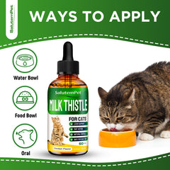 SalutemPet soutien-rein-chat, aide potentielle pour une fonction urinaire.