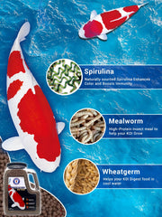 Koi San Francisco Bay Brand – probiotiques et digestion pour un bassin plus clair.