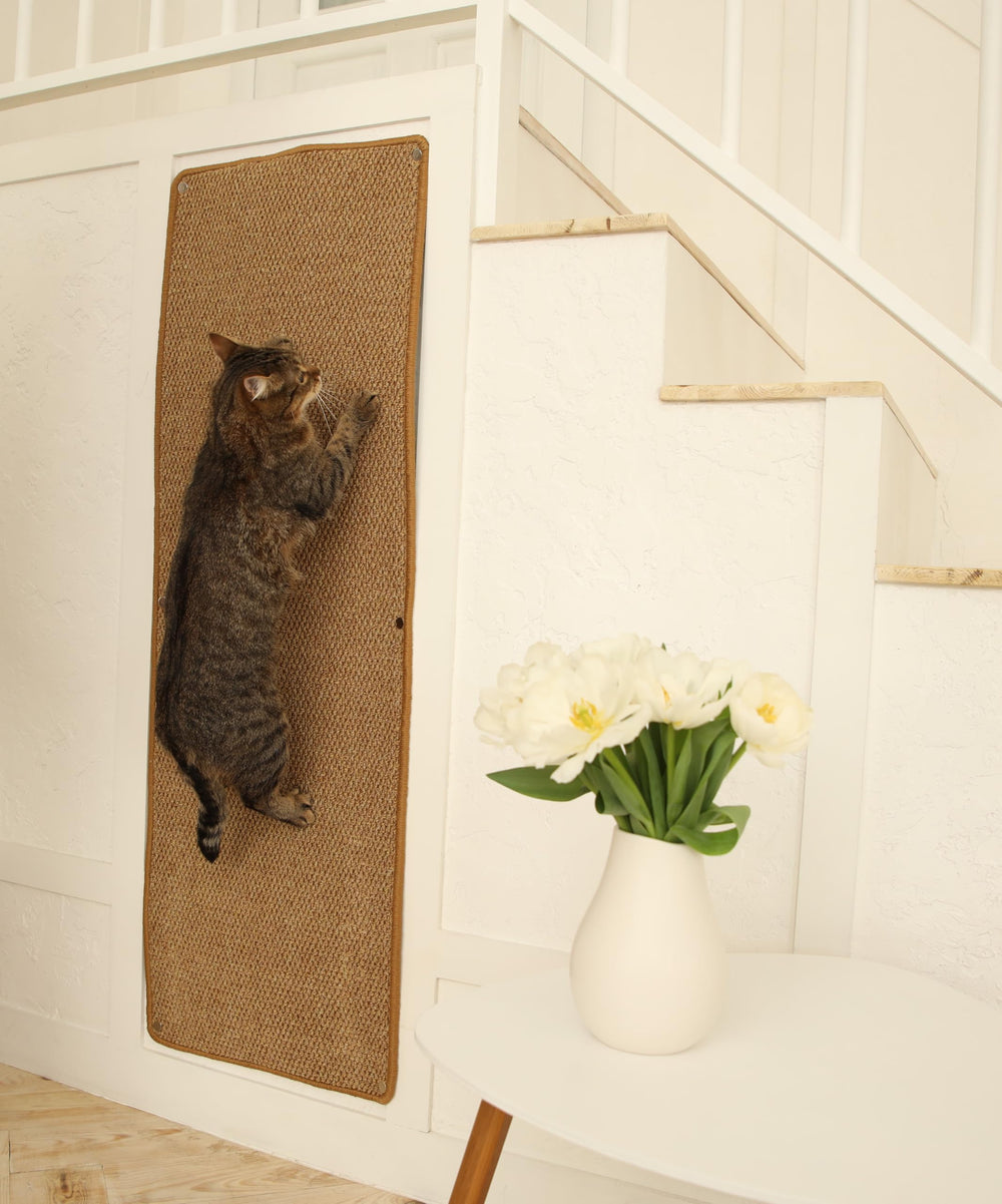 SANDPEAK tapis grimpeur mur chat stimule l'activité et l'étirement du félin