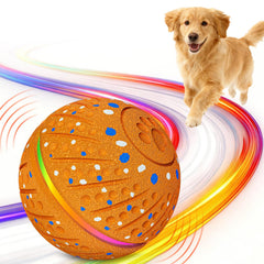 Sankell Ball interactif avec lumières colorées pour capter l’attention du chien.