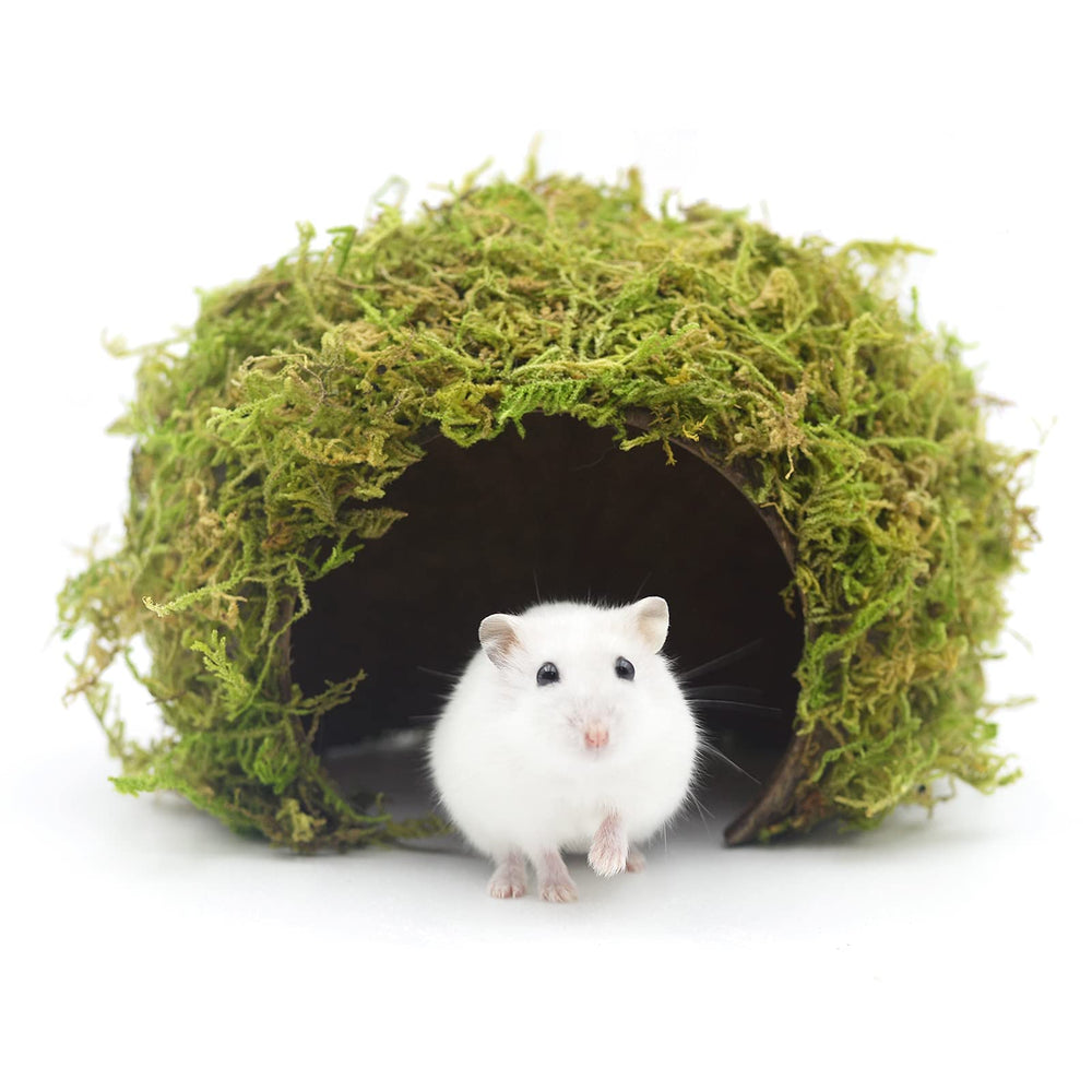 Cachette SanmooAio pour hamster grande en fibre coco et mousse naturelle, abri sûr